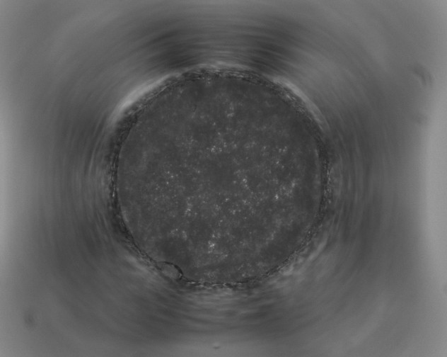 X0000113260919200910081336