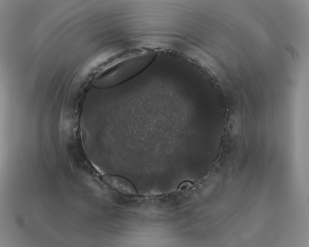 X0000113260920200910081336