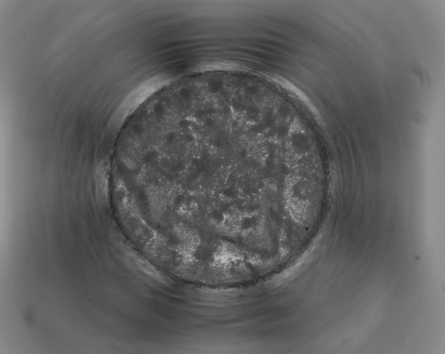 X0000113260921200910081336