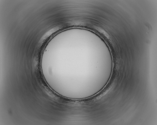 X0000113260922200910081336