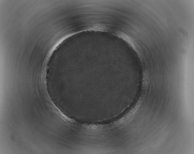 X0000113260923200910081336