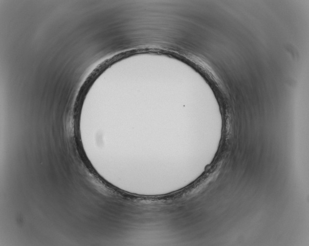 X0000113260924200910081336