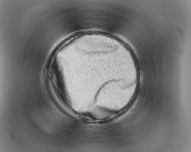 X0000113260925200910081336