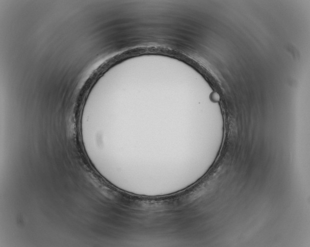 X0000113260927200910081336