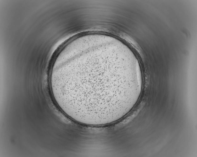 X0000113260928200910081336