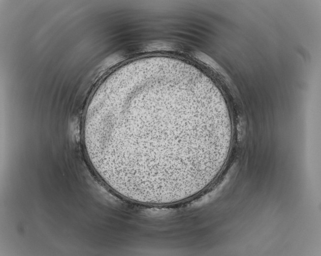 X0000113260929200910081336