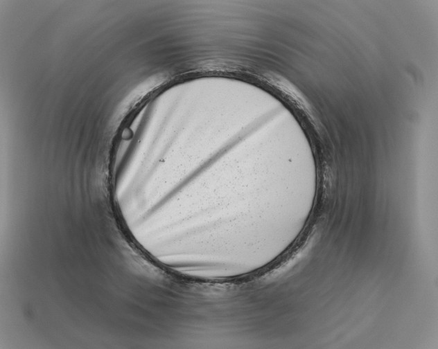 X0000113260930200910081336