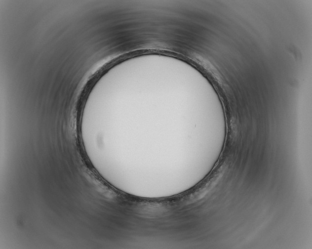 X0000113260931200910081336