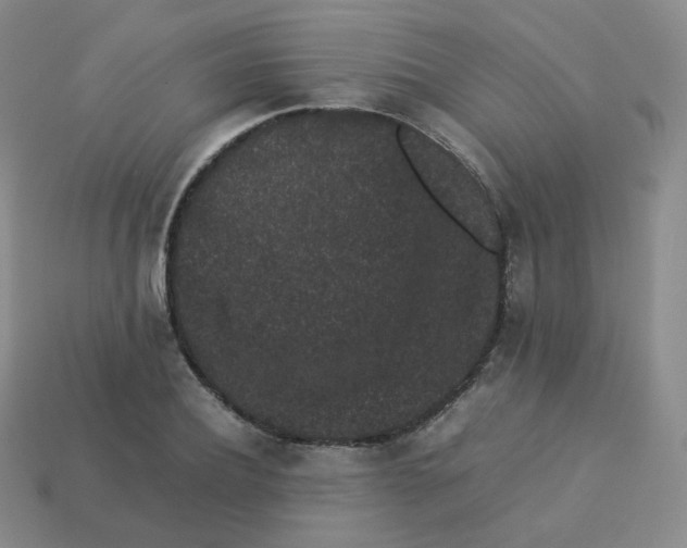 X0000113260932200910081336