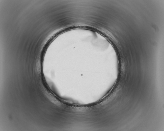 X0000113260934200910081336