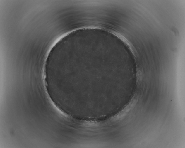 X0000113260935200910081336