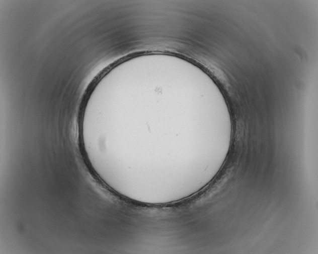 X0000113260936200910081336
