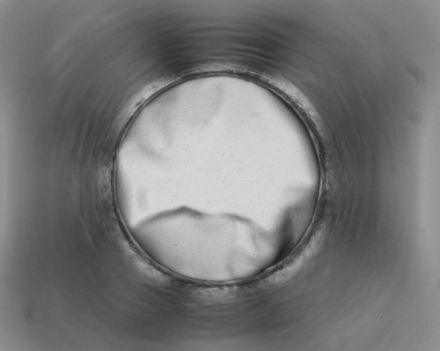 X0000113260937200910081336