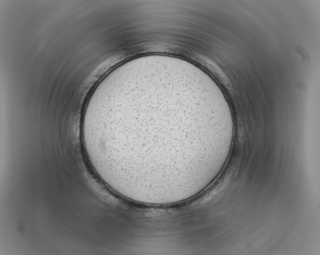 X0000113260938200910081336