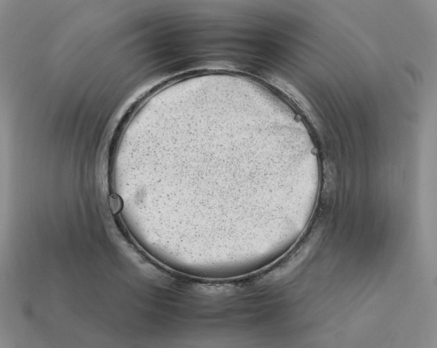 X0000113260939200910081336