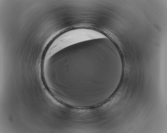 X0000113260941200910081336