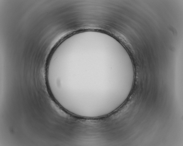 X0000113260942200910081336