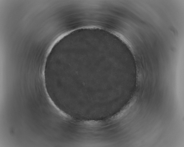 X0000113260943200910081336