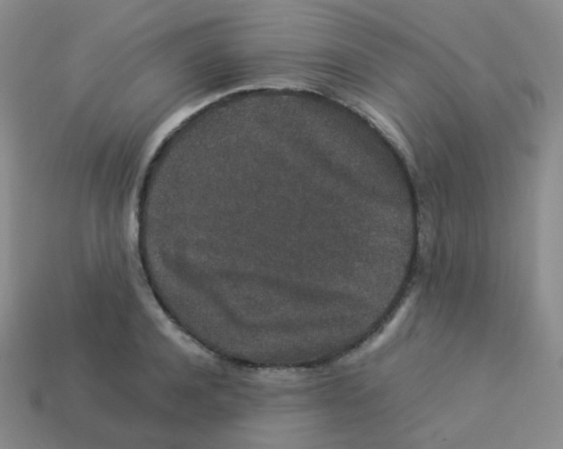 X0000113260944200910081336