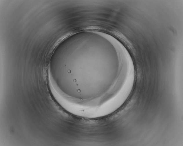 X0000113260945200910081336