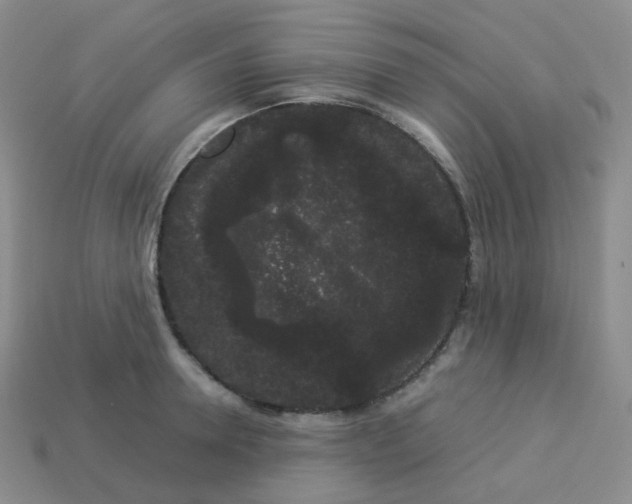 X0000113260946200910081336