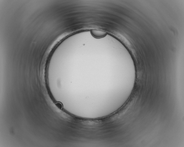 X0000113260947200910081336