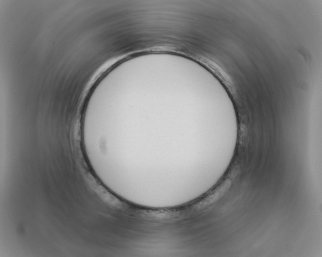 X0000113260948200910081336
