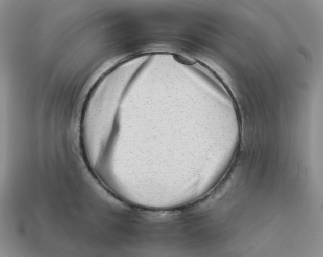 X0000113260949200910081336