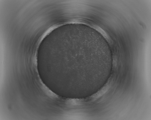 X0000113260950200910081336