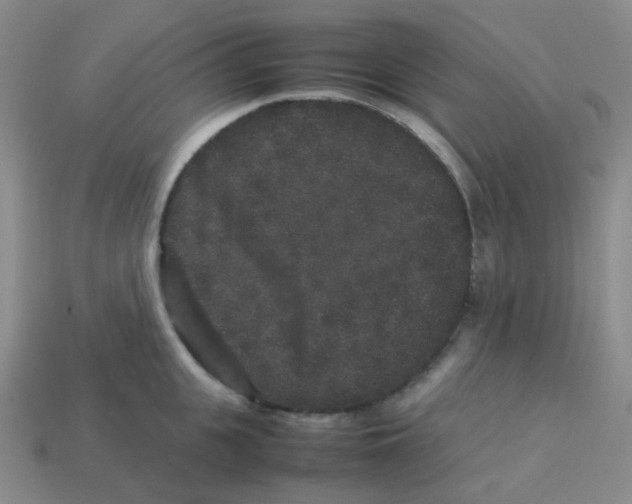 X0000113260951200910081337