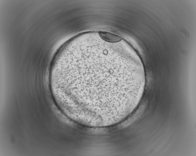 X0000113260952200910081337