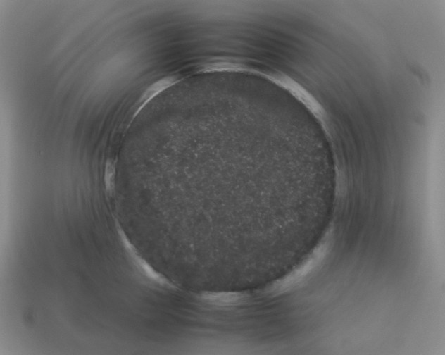 X0000113260953200910081337