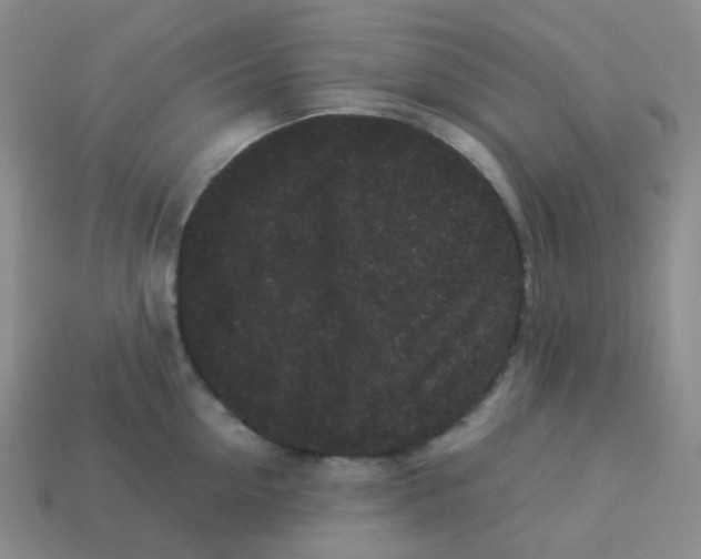 X0000113260954200910081337