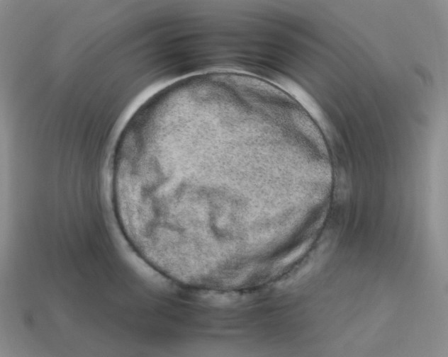X0000113260955200910081337