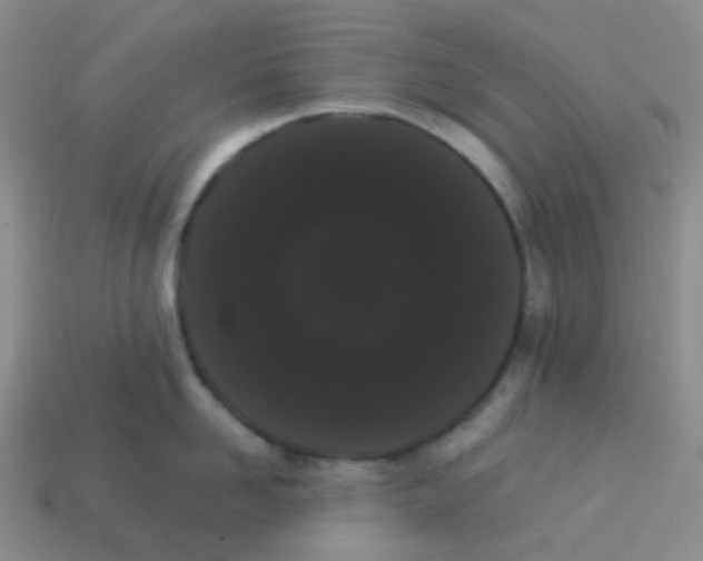 X0000113260958200910081337