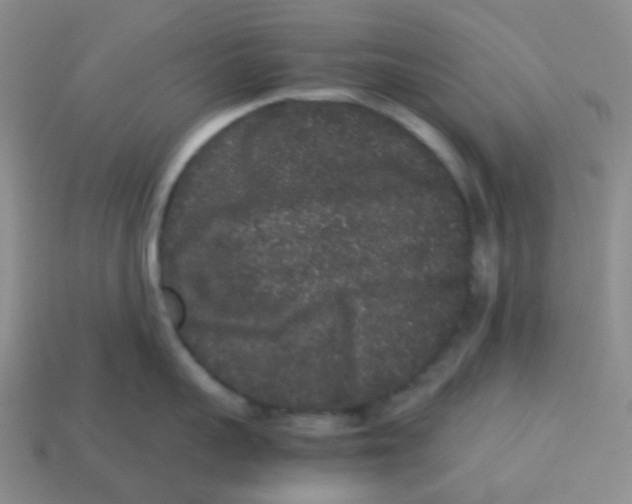 X0000113260959200910081337