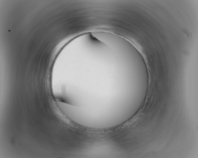 X0000113260960200910081337