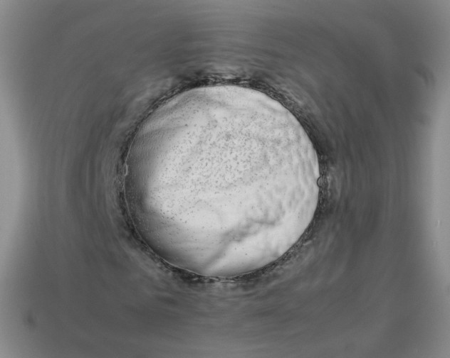 X0000113260961200910081336