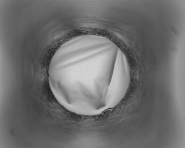 X0000113260965200910081336