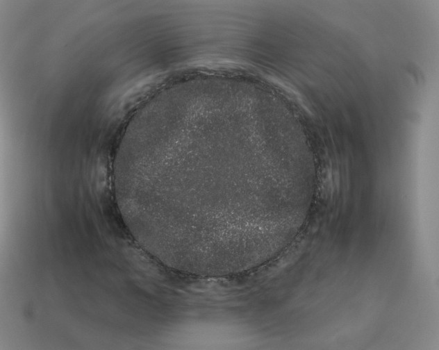X0000113260966200910081336