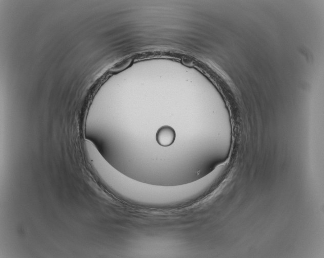 X0000113260969200910081336