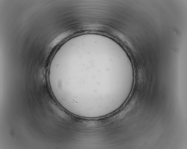 X0000113260970200910081336