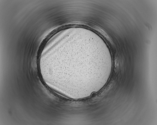 X0000113260972200910081336
