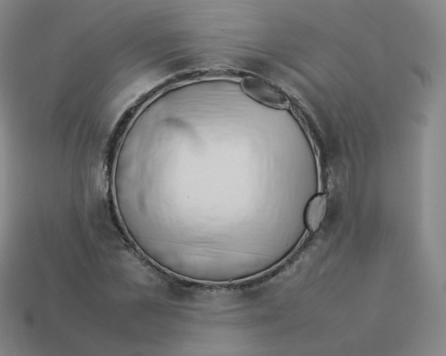 X0000113260973200910081336
