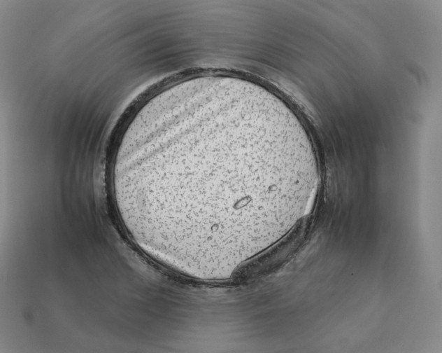 X0000113260976200910081336