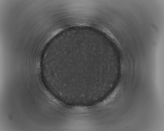 X0000113260977200910081336