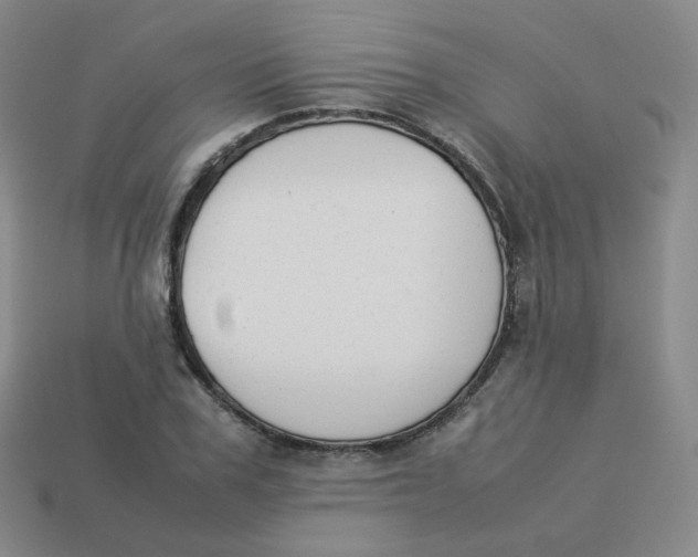 X0000113260979200910081336