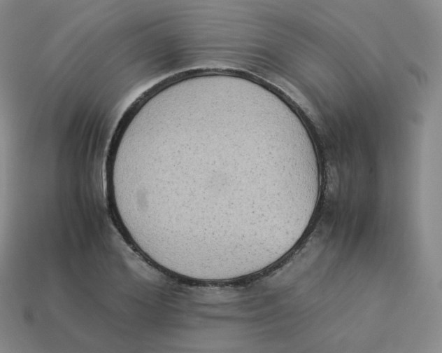 X0000113260980200910081336