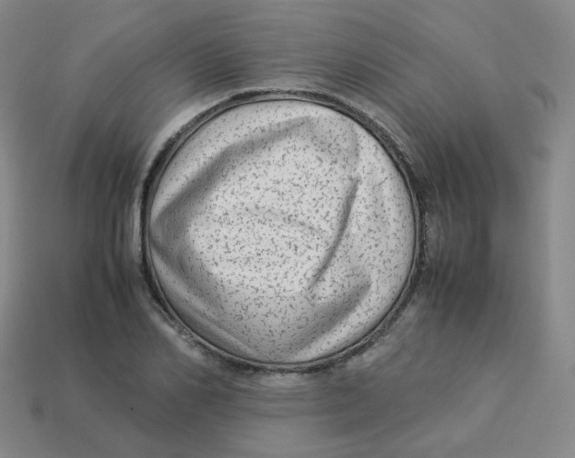 X0000113260982200910081336