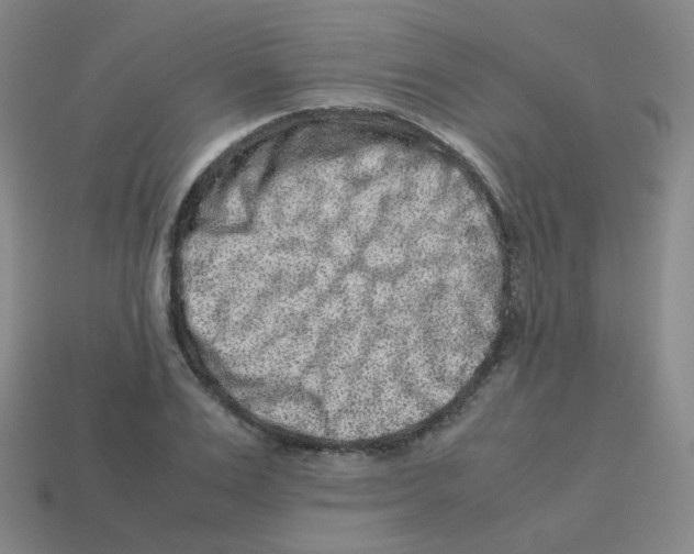 X0000113260983200910081336
